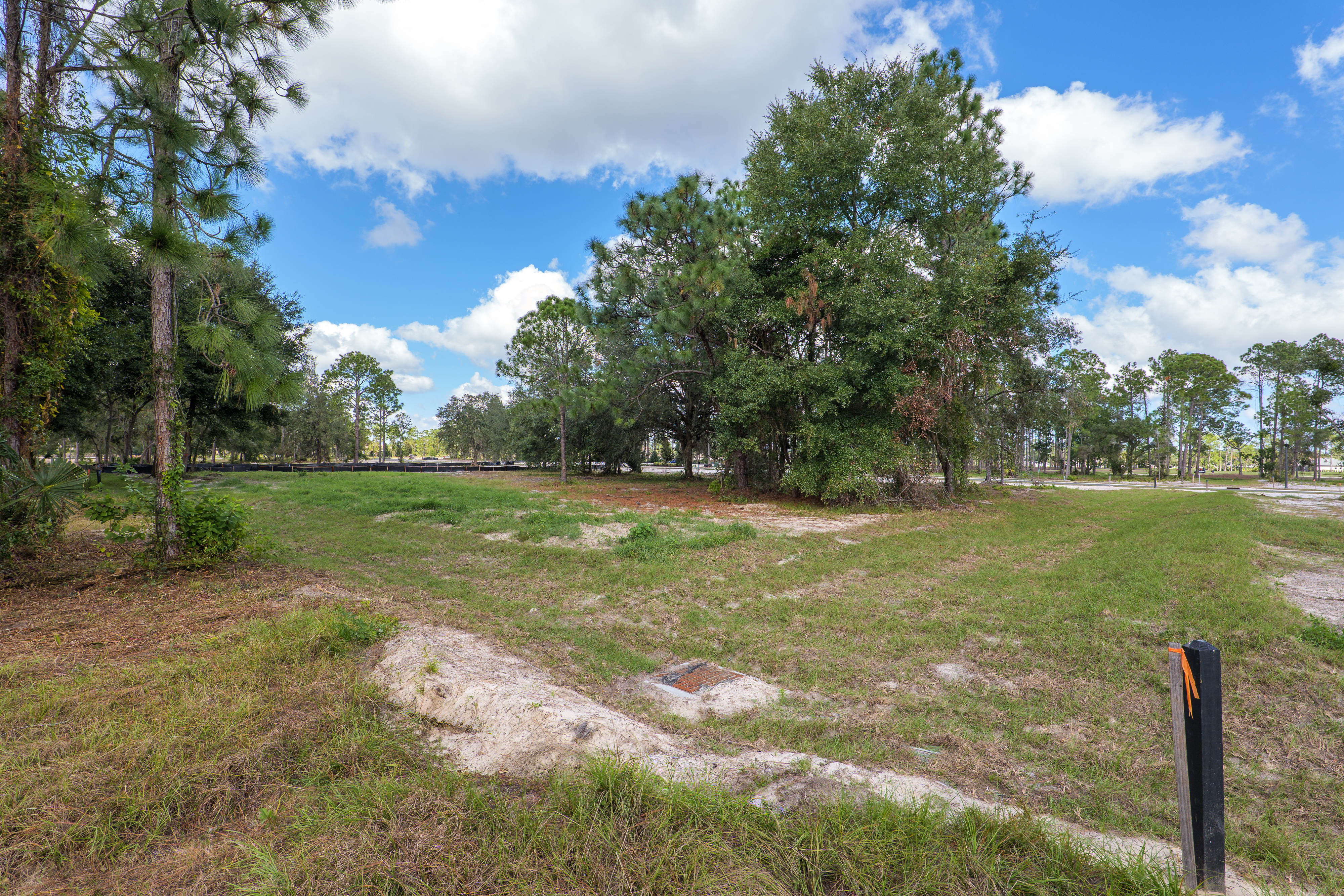 lot 101 image 5