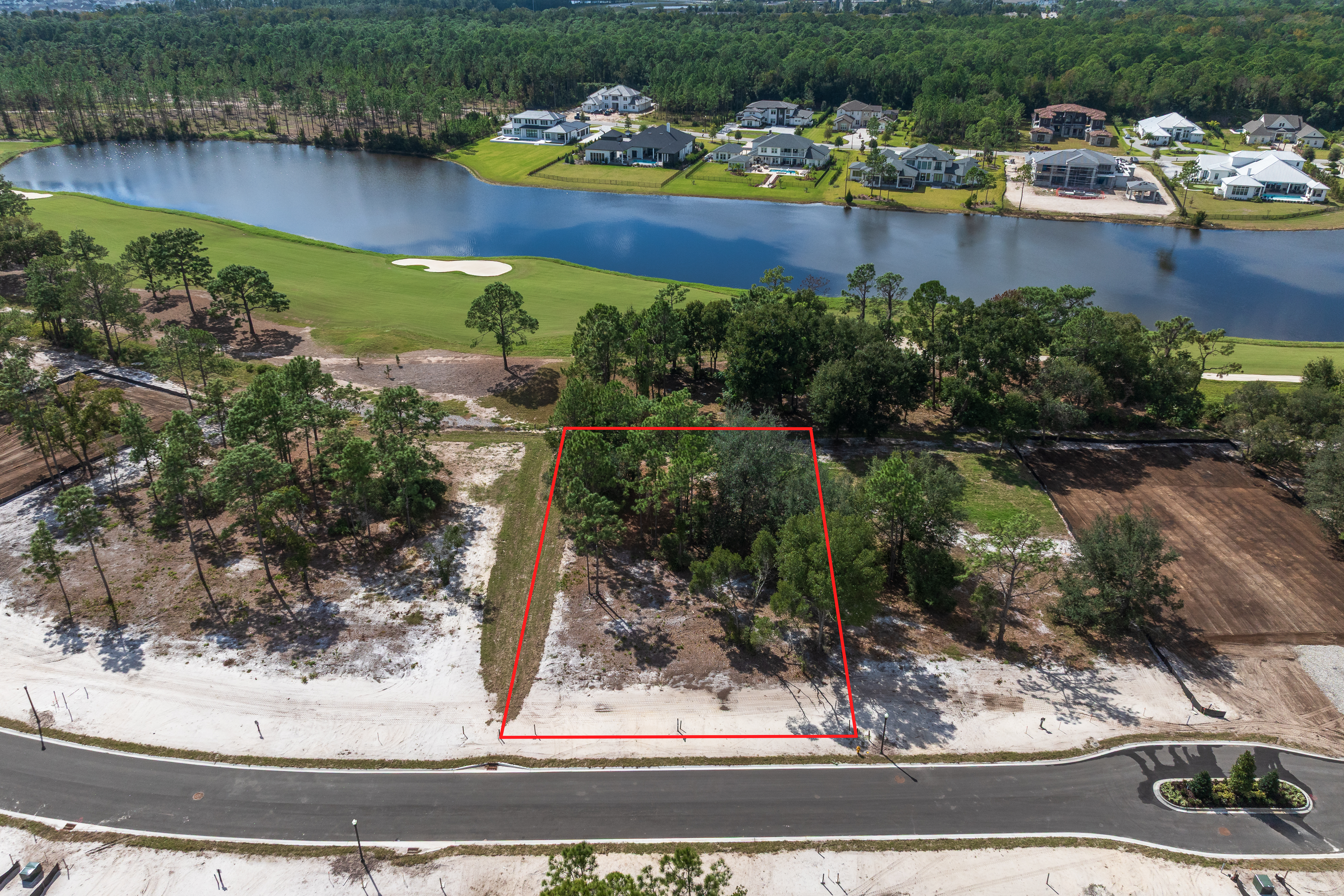 lot 101 image 4