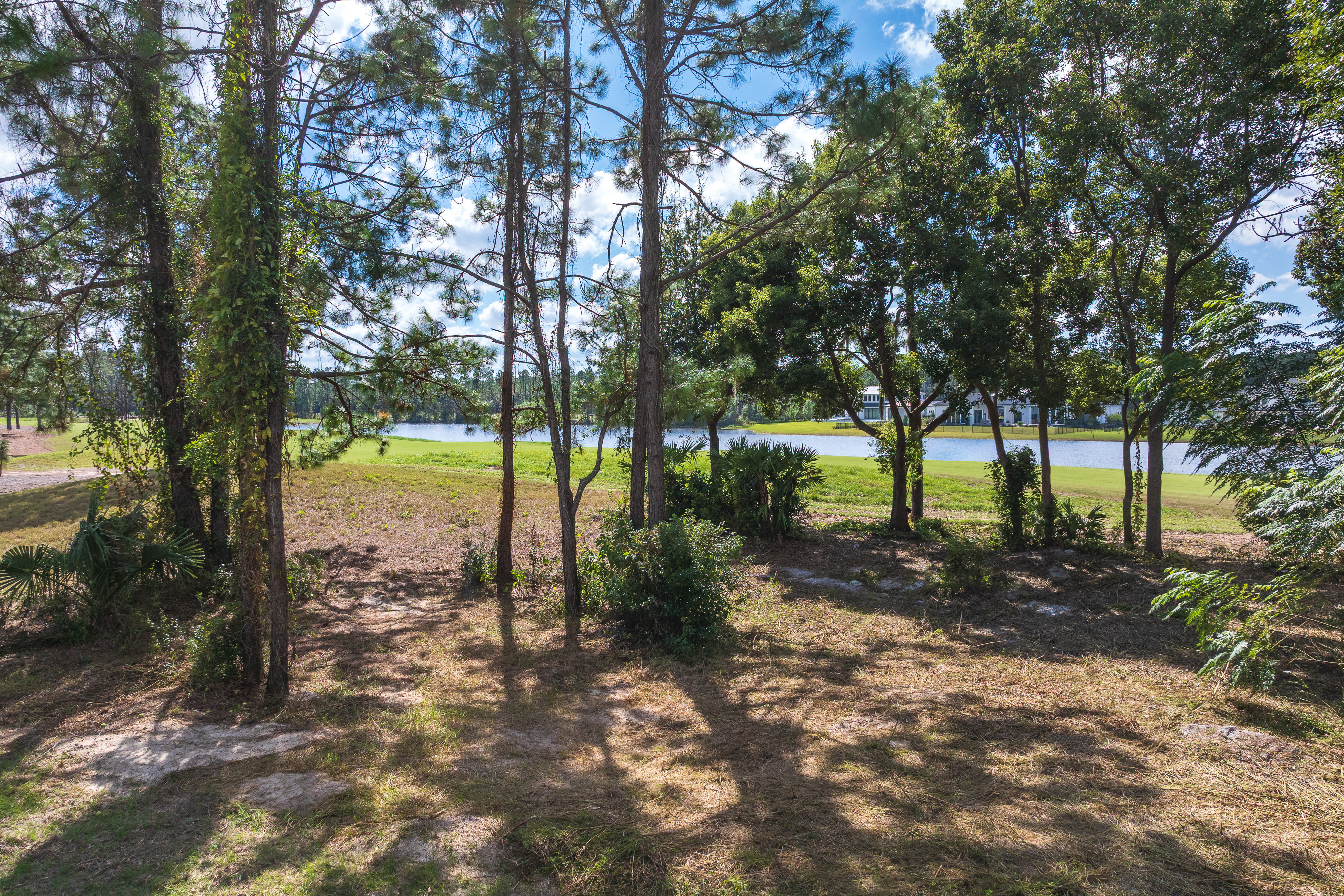 lot 101 image 3