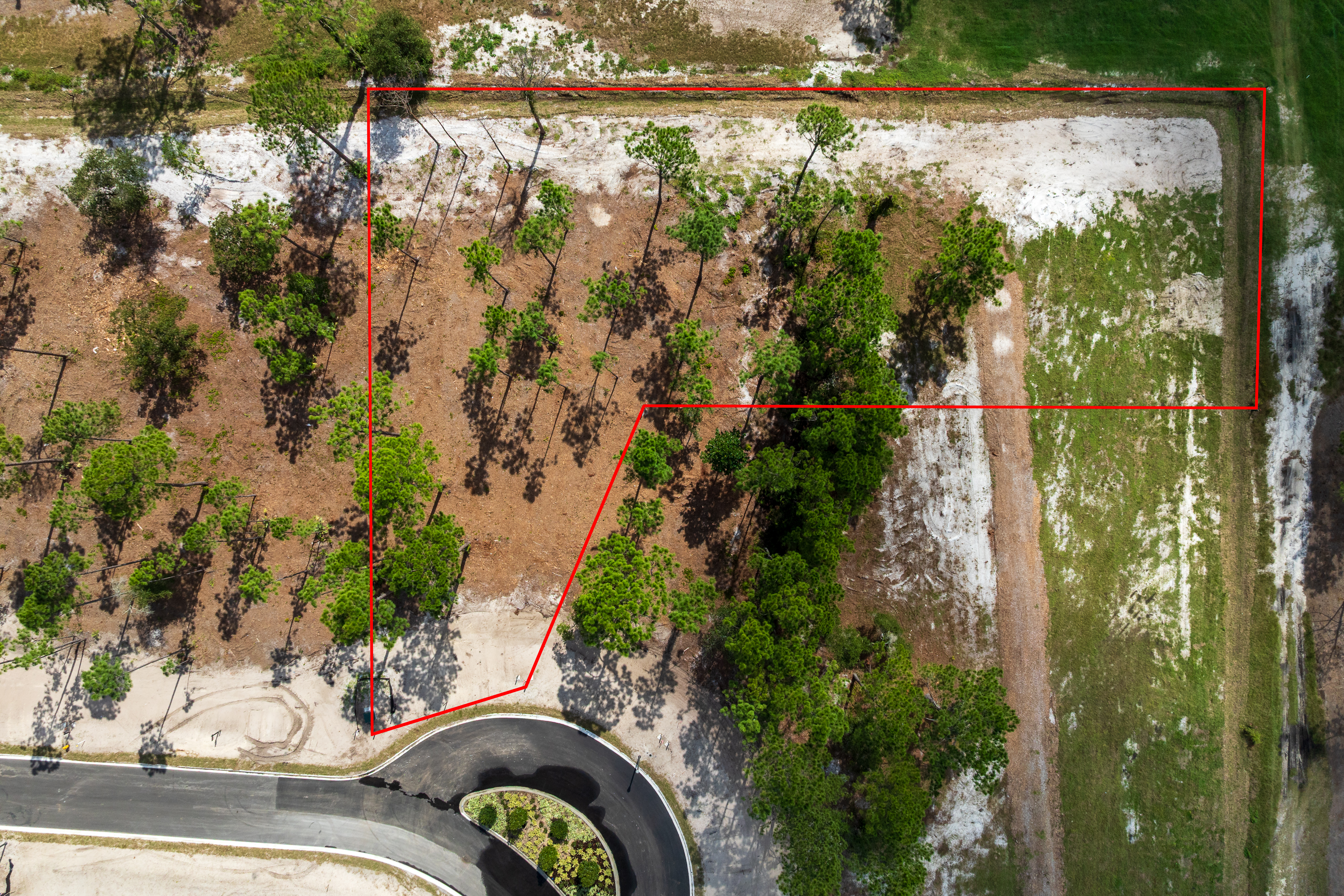 lot 111 image 4