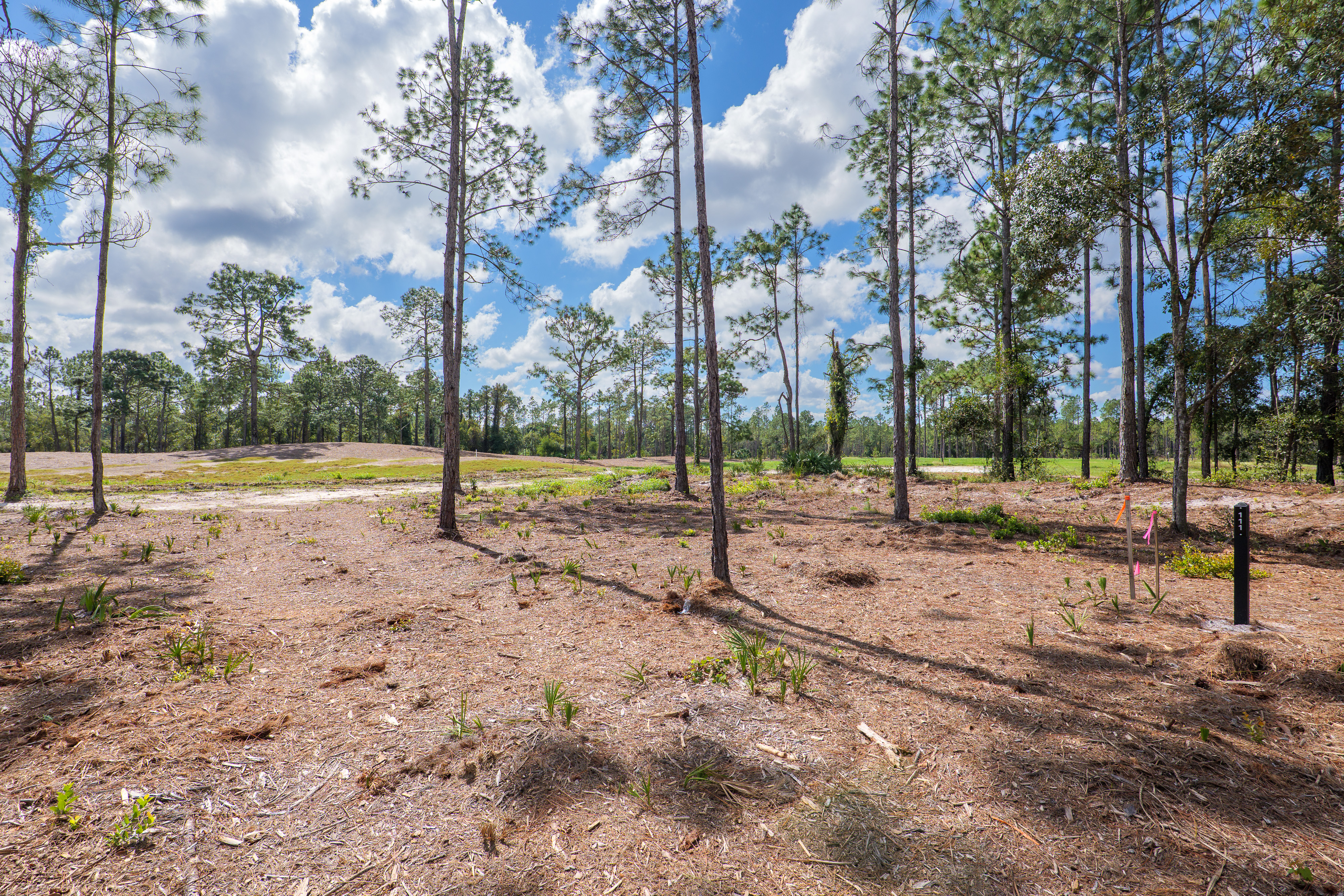 lot 111 image 3