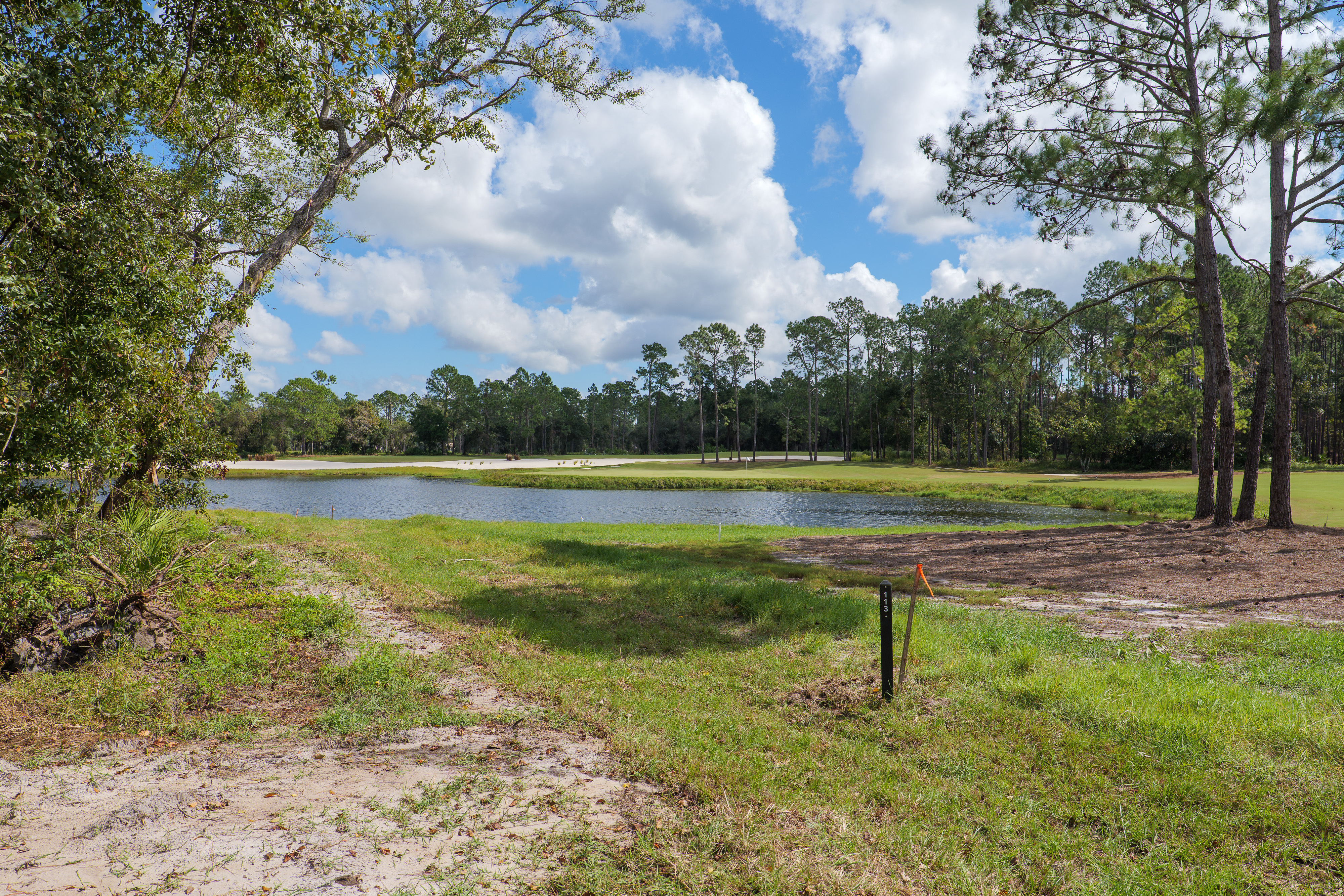 lot 113 image 3