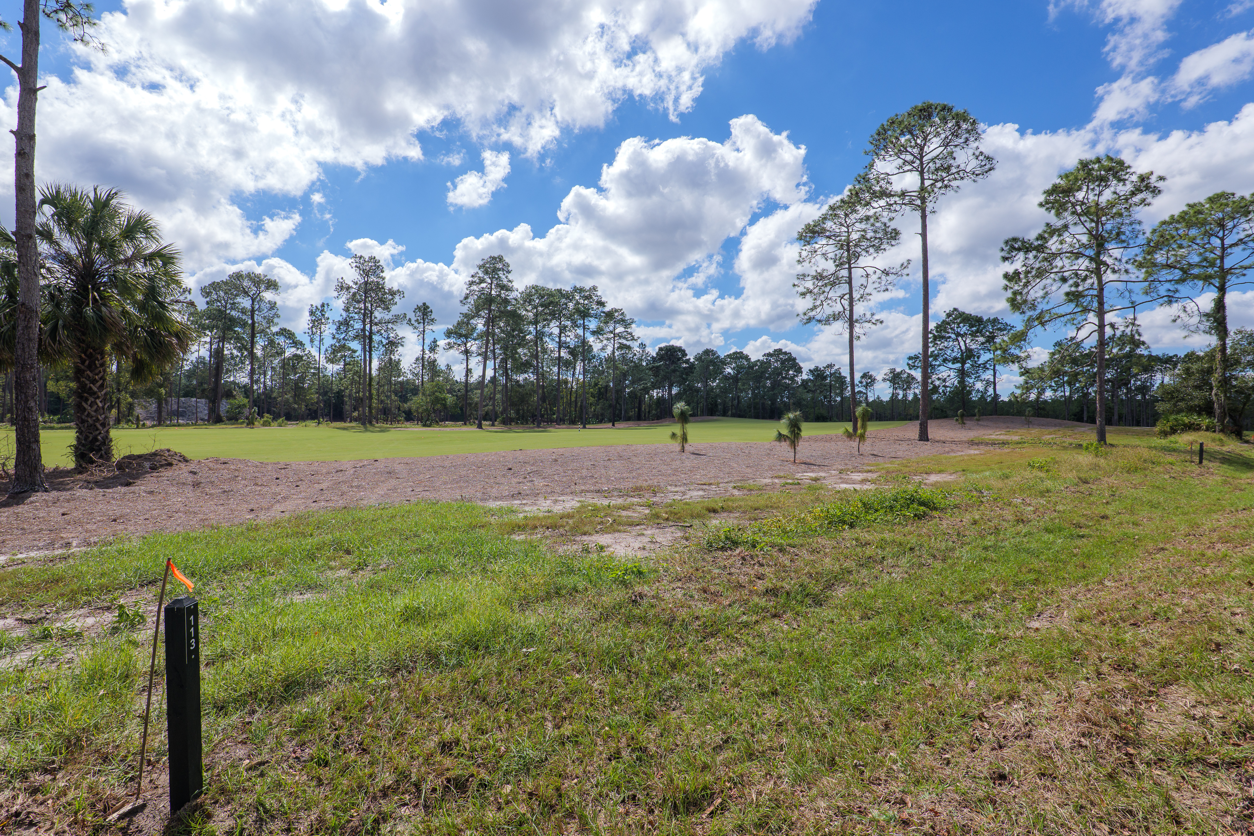 lot 113 image 5
