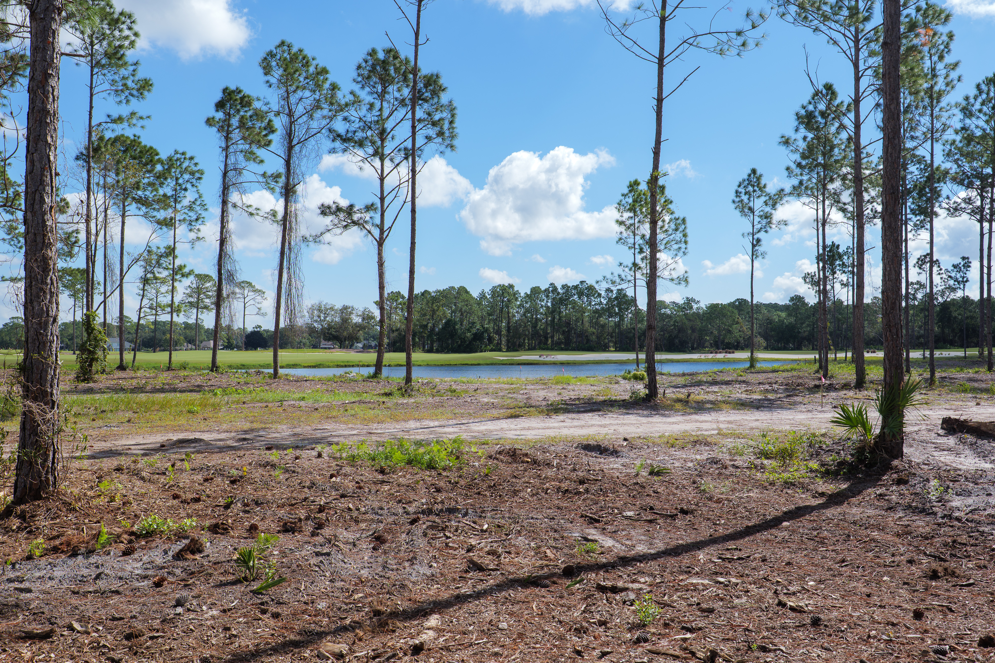 lot 119 image 3