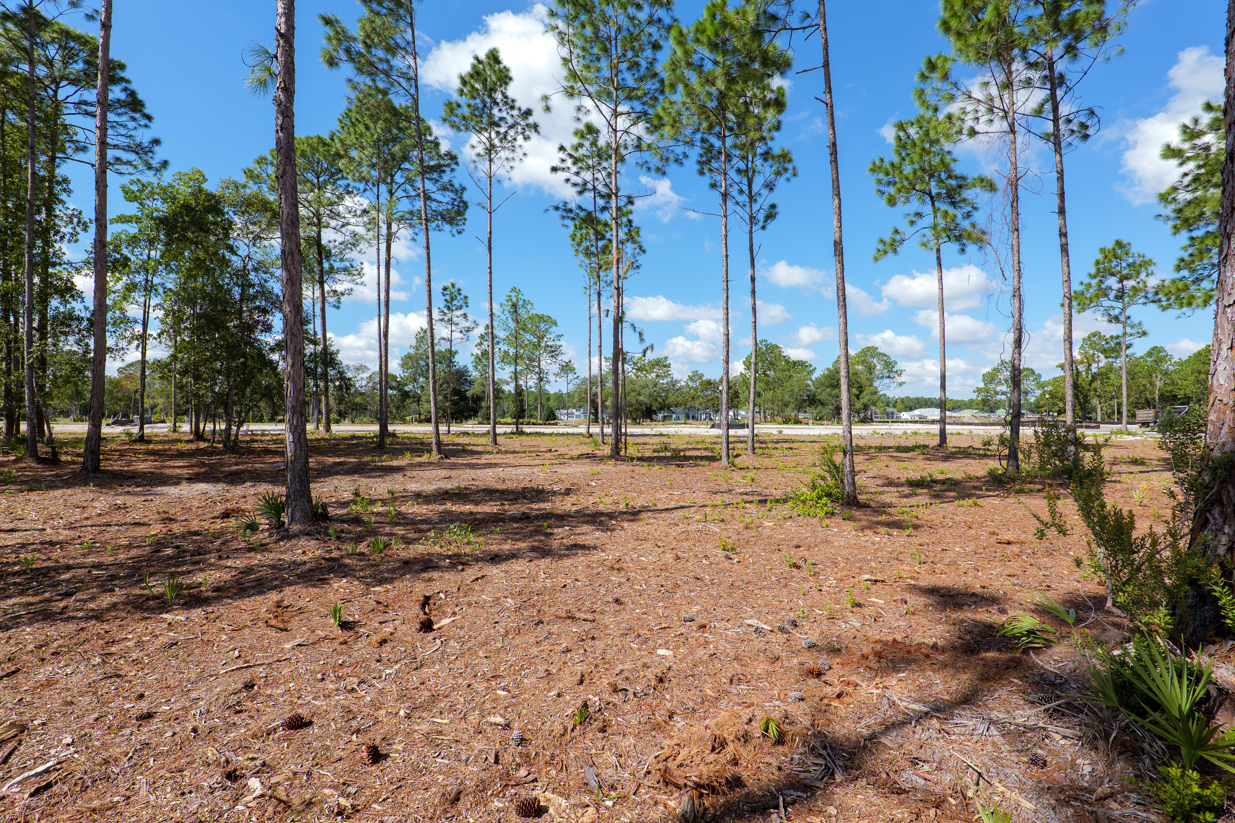 lot 119 image 5