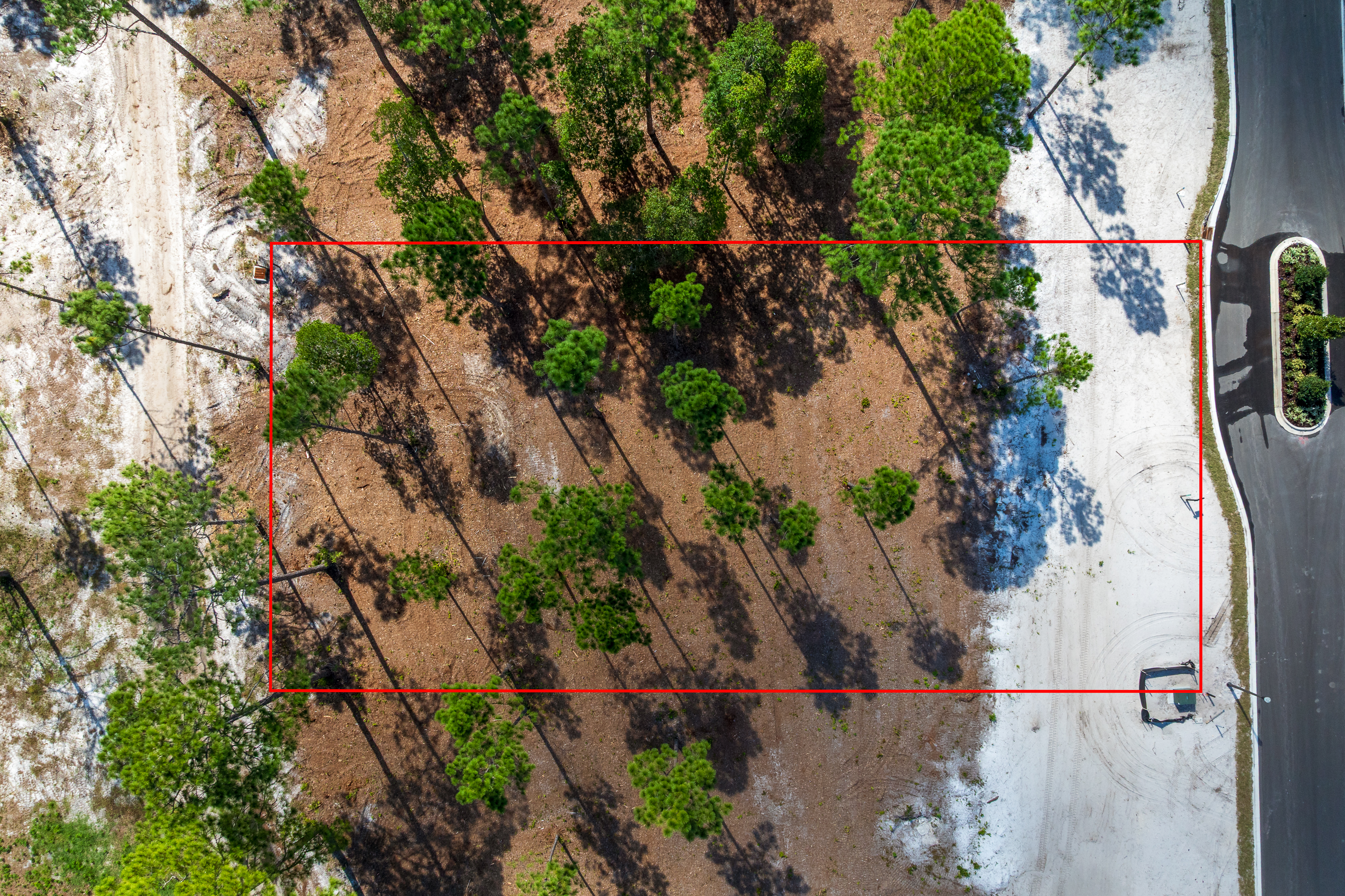 lot 119 image 1