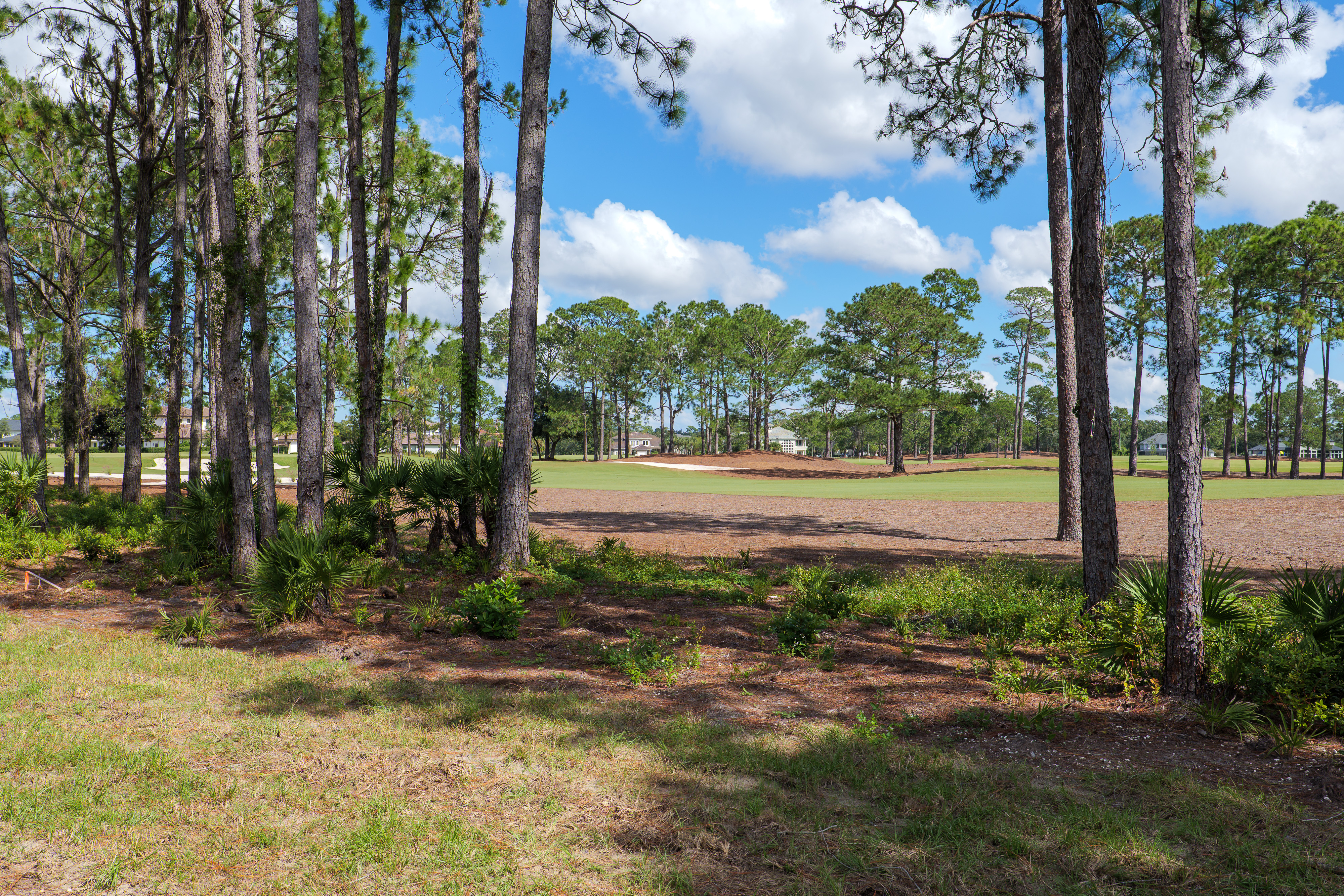lot 134 image 5