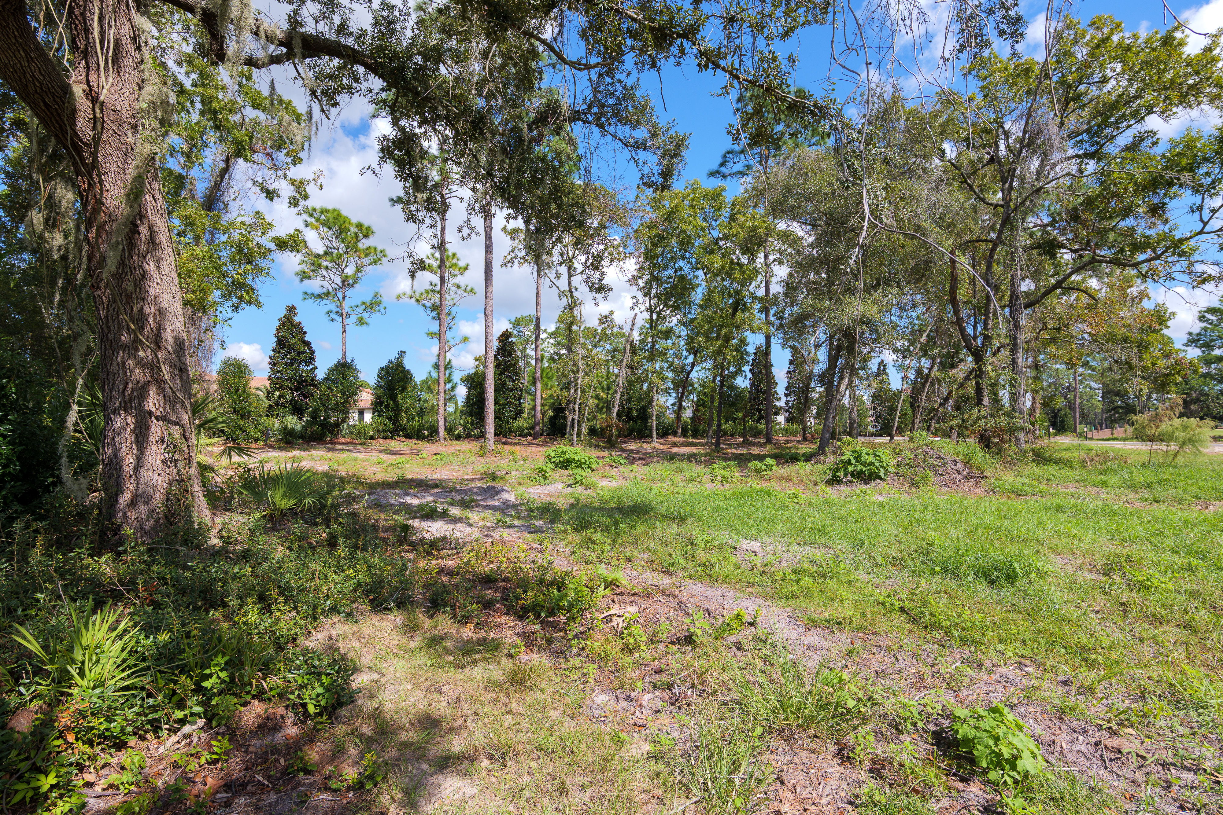 lot 91 image 5