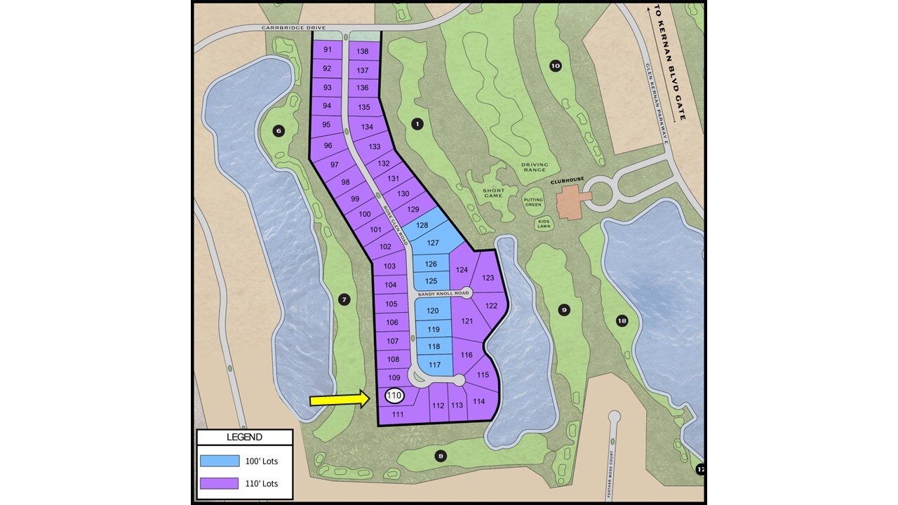 lot 110 image 2